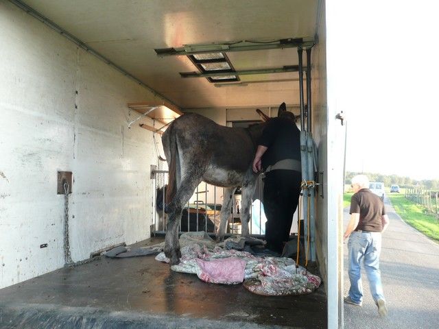 Balthazar et leonard Arrivee (14).jpg